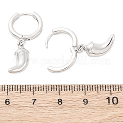 チリ真鍮フープピアス  ラックめっき  長持ちメッキ  鉛フリー＆カドミウムフリー  プラチナ  28x10mm&nbsp;EJEW-Q015-17P
