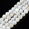 Natural Freshwater Shell Beads Strands, Dyed, Round, Ghost White, 2.5mm, Hole: 0.5mm, about 122~136pcs/strand, 14.57 inch~15.63 inch(37cm~39.7cm)