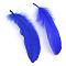 Goose Feather Costume Accessories, Dyed, Blue, 160~215x36~47mm