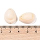 Cowrie Shell Pendants&nbsp;X-PTS057Y-3