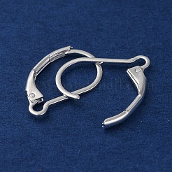 304 Stainless Steel Leverback Earring Findings&nbsp;STAS-K233-04S