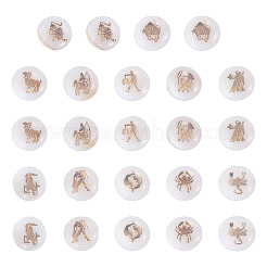 24Pcs 12 Styles Natural Freshwater Shell Beads&nbsp;SHEL-TA0001-42