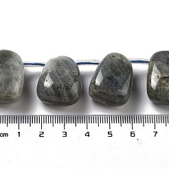 Natural Labradorite Beads Strands&nbsp;G-P528-E10-01