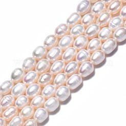 天然養殖淡水パールビーズ連売り  ライス  貝殻色  7.5~11x6.5~7mm  穴：0.8mm  約40~42個/連  13.58 ~14.29''（34.5cm〜36.3cm）&nbsp;PEAR-N012-06T