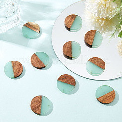 Resin & Wood Pendants&nbsp;RESI-OL0001-07C