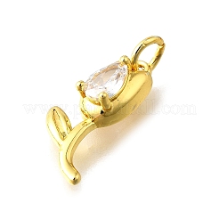 Brass Micro Pave Cubic Zirconia Pendants&nbsp;KK-Z102-01G-01