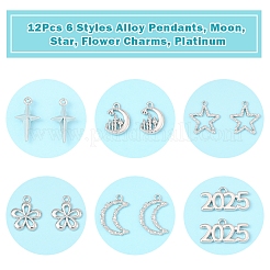 12本6スタイルアロイペンダント  ムーン  スター  花のチャーム  プラチナ  12.5~24.5x9~22x2~5mm  穴：1~2.5mm  2個/スタイル&nbsp;FIND-FS0003-38P