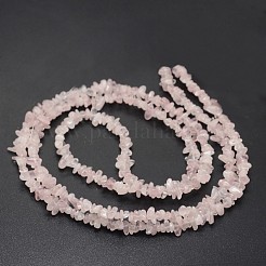Chips Natural Rose Quartz Beads Strands&nbsp;G-N0164-39