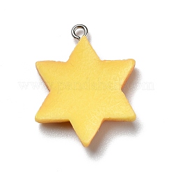 Opaque Resin Pendants&nbsp;RESI-D055-133P