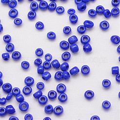 6/0 Glass Seed Beads&nbsp;SEED-J014-F6-48