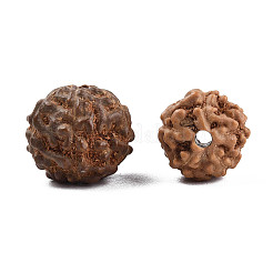 未染色の天然ルドラクシャビーズ  ラウンド  シエナ  6~9x6~9mm  穴：0.8~1.2mm&nbsp;WOOD-T030-01