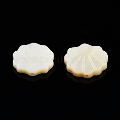Natural Freshwater Shell Beads&nbsp;SHEL-T007-02