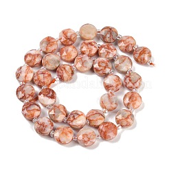 Natural Red Netstone Beads Strands&nbsp;G-C116-A71-01