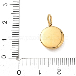 304 Stainless Steel Charms&nbsp;STAS-G391-01G-02