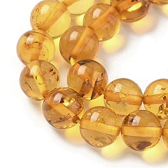 Natural Amber Beads Strands&nbsp;G-L095-B01-6mm-02