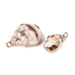 Electroplate Natural Spiral Shell Pendants&nbsp;SSHEL-Q100-33G
