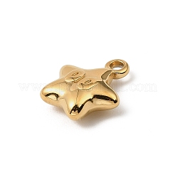 304 Stainless Steel Charms&nbsp;STAS-F327-03E-G