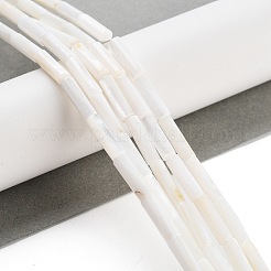 Freshwater Shell Beads Strands&nbsp;BSHE-L037-13