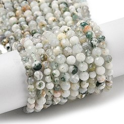 Natural Tree Agate Beads Strands&nbsp;G-G189-D12-03