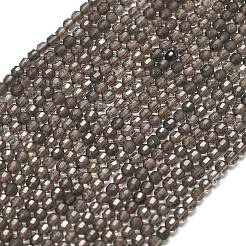 Natural Smoky Quartz Beads Strands&nbsp;G-A260-A53-01