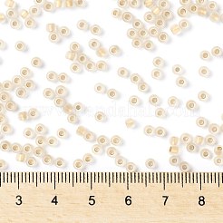TOHO Round Seed Beads&nbsp;SEED-TR08-0989FM