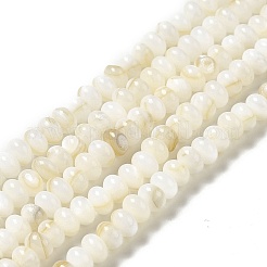 天然淡水シェルビーズ連売り  ロンデル  ベージュ  6x4mm  穴：0.9mm  約97個/連  15.31~15.39''（38.9~39.1センチメートル）&nbsp;BSHE-E026-15B-01