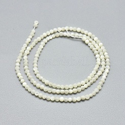Natural White Shell Beads Strands&nbsp;G-A177-04-25