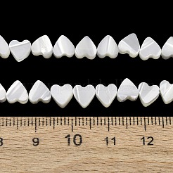 Natural Trochid Shell/Trochus Shell Beads Strands&nbsp;SH-CBA2978-10