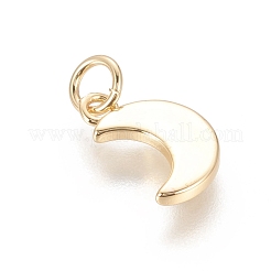 Brass Charms&nbsp;KK-F811-10G