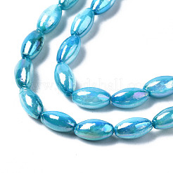 Freshwater Shell Beads Strands&nbsp;SHEL-N026-141C