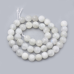 Natural Rainbow Moonstone Beads Strands&nbsp;G-S333-8mm-002