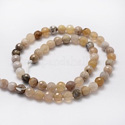 Faceted Round Natural Ocean Fossil Agate Bead Strands&nbsp;G-L437-04-8mm