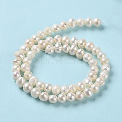 天然養殖淡水パールビーズ連売り  ポテト  グレードA  パパイヤホイップ  6~7x5~6mm  穴：0.6mm  約61個/連  13.86~13.98インチ（35.2~35.5cm）&nbsp;PEAR-E018-72