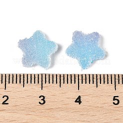 Imitation Candy Food Style Resin Cabochons&nbsp;RESI-R461-02D
