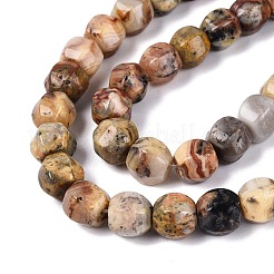 Natural Crazy Agate Beads Strands&nbsp;G-Q608-08A-05