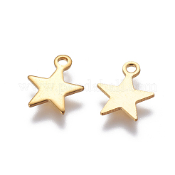 304 Stainless Steel Charms&nbsp;STAS-G190-27G-B