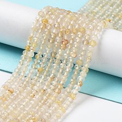 天然石ルチルクォーツビーズ連売り  多面カット  ロンデル  3x2mm  穴：0.6mm  約128~149個/連  15.35''（39センチメートル）&nbsp;G-J400-C11-02