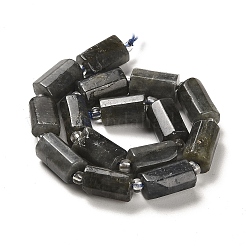 Natural Larvikite Beads Strands&nbsp;G-N327-06-32