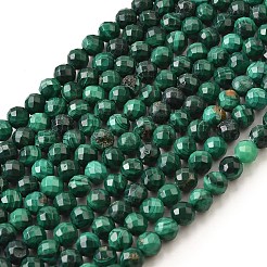 Natural Malachite Beads Strands&nbsp;G-G259-D14-5mm