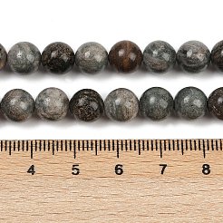 Natural Gemstone Beads Strands&nbsp;G-F792-C11-06