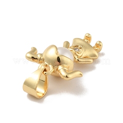 Brass Micro Pave Clear Cubic Zirconia Pendants&nbsp;KK-B059-12G