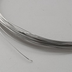 316 Stainless Steel Wires&nbsp;TWIR-WH0002-23C-P