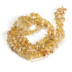 天然石シトリンビーズ連売り  染め＆加熱  チップ  3~16x3~8mm  穴：0.7mm  80~81cm&nbsp;G-F703-04