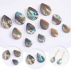 12pcs3スタイルナチュラルアワビシェル/パウアシェルビーズ  トップ掘削  ティアドロップ  16~25x12~18x2~6mm  穴：0.7mm  4個/スタイル&nbsp;SHEL-HY0001-02