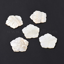 Natural Freshwater Shell Pendants&nbsp;SHEL-H001-04