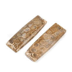 天然の化石のサンゴペンダント  マッチするチャーム  長方形チャーム  40x14x4mm  穴：1.2mm&nbsp;G-B187-01C-08