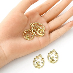 Rack Plating Alloy Pendants&nbsp;FIND-YW0003-66