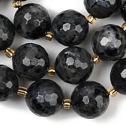 Natural Larvikite Beads Strands&nbsp;G-C249-A07-16mm