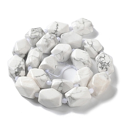 Natural Howlite Beads Strands&nbsp;G-C182-23-02