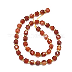Natural Red Agate Beads Strand&nbsp;G-I376-D35-01
